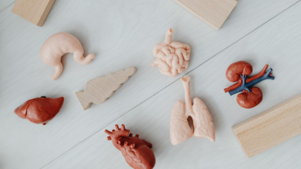 Journée nationale du don d'organes : faites part de votre choix