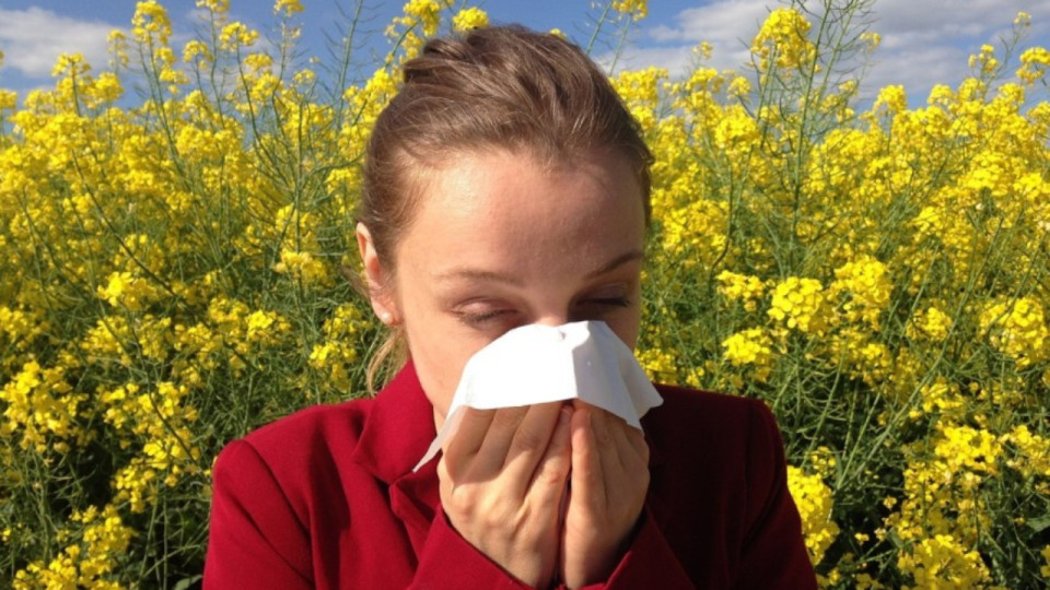 Le pollen est de retour dans la région