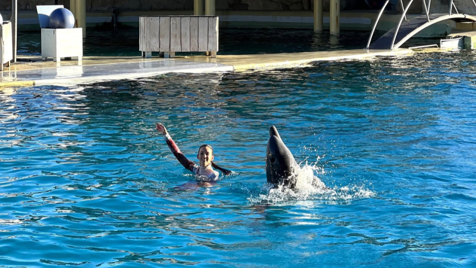 Marineland : Sea Shepherd identifie plusieurs sites en M&eacute;diterran&eacute;e pour cr&eacute;er un sanctuaire marin