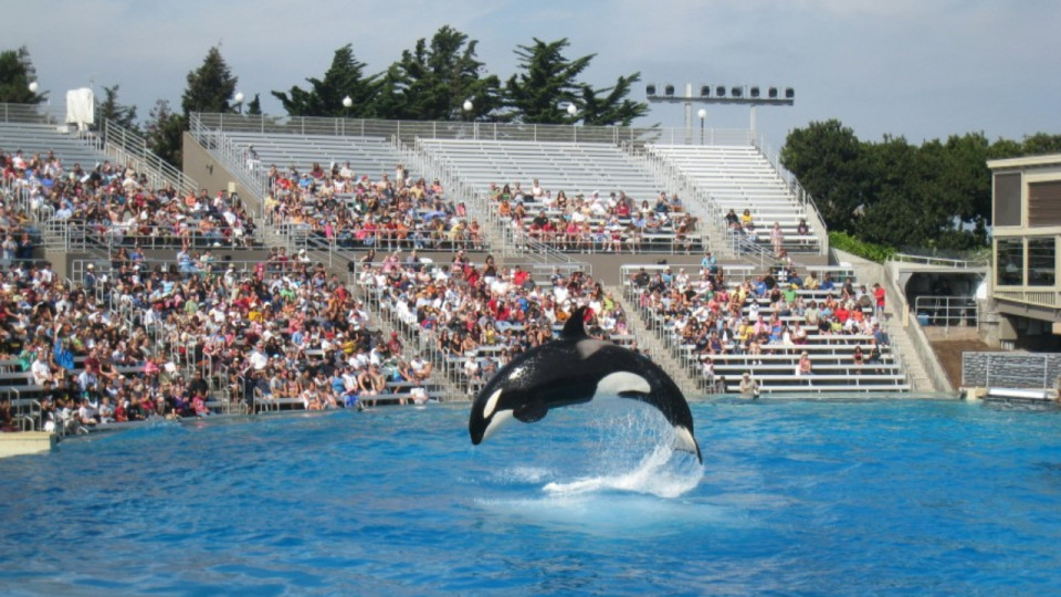 Marineland : victoire pour OneVoice